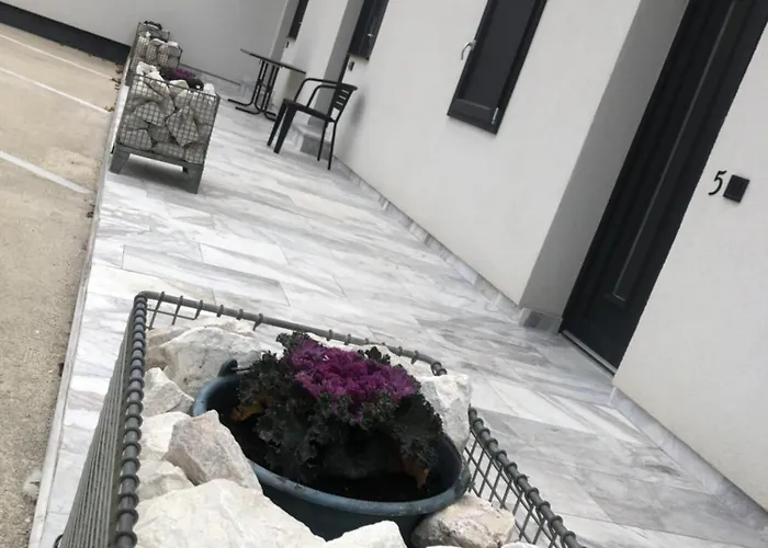 Csodaszarvas Vendeghaz Guest house 3*